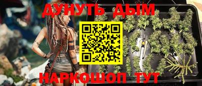 гидропоника Новодвинск