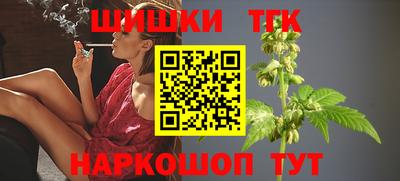 шишки Новокубанск