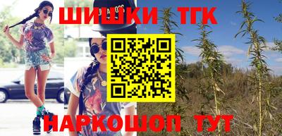 шишки Новокубанск