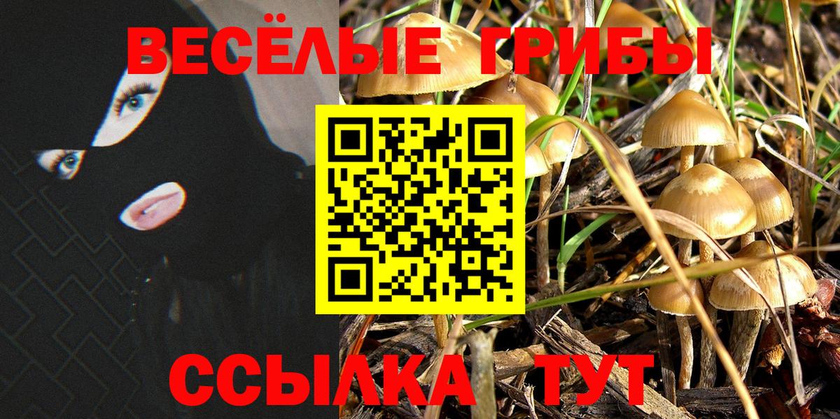 Оренбург  Галлюциногенные грибы мицелий  Вход с VPN  Псилоцибиновые грибы ЛСД 