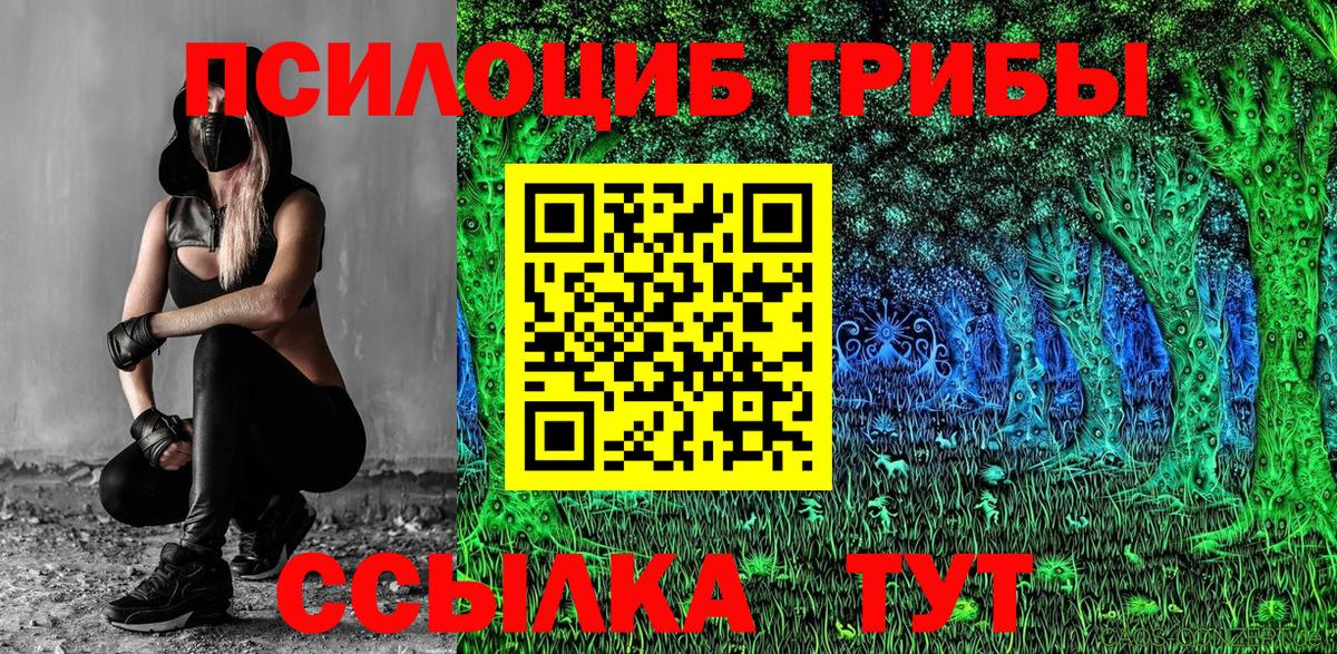 Галлюциногенные грибы Psilocybe Оренбург